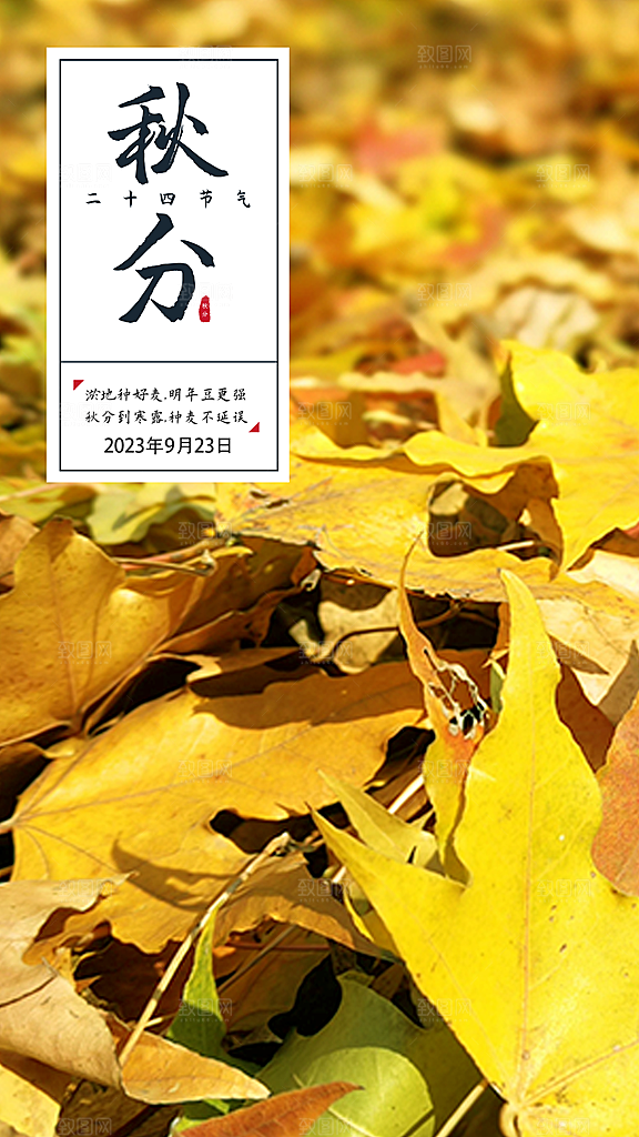 地产秋分节气简约大气海报