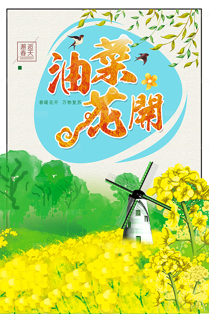 春暖花开油菜花开