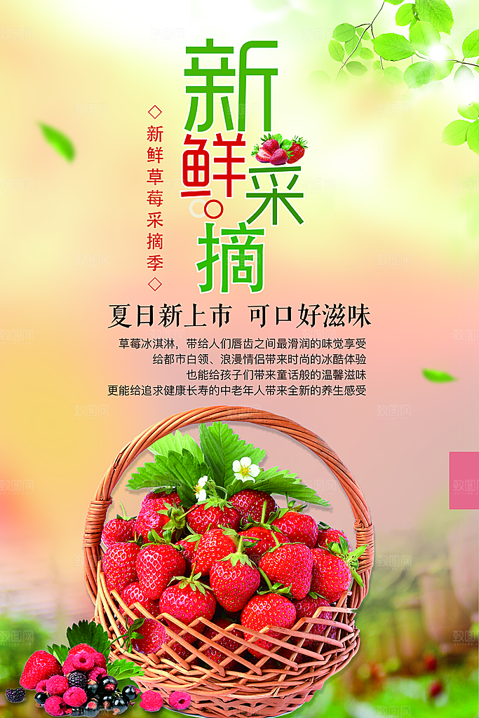 新鲜草莓采摘宣传海报