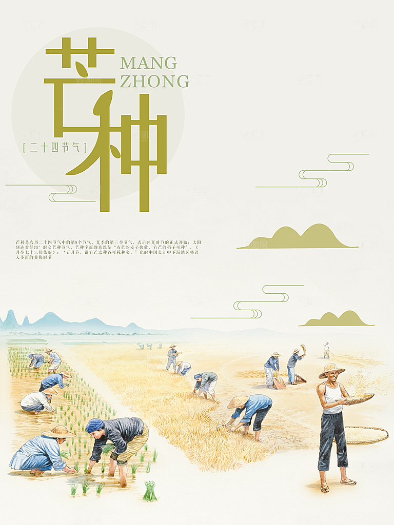 创意手绘芒种节气海报