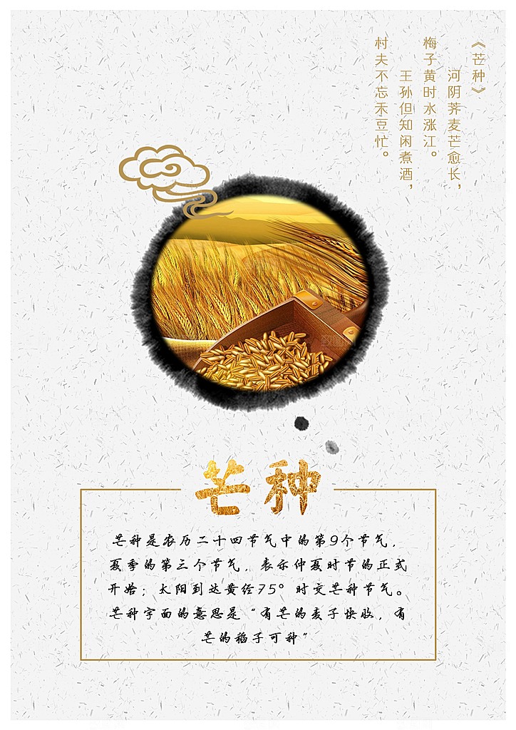 创意二十四传统节气芒种海报