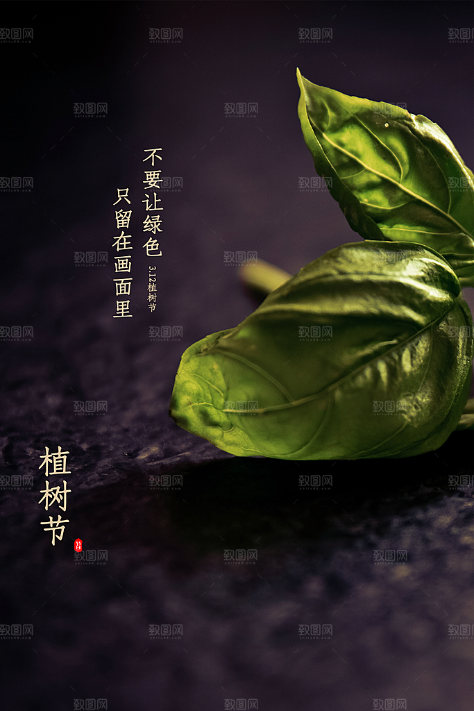 中国传统节日植树节