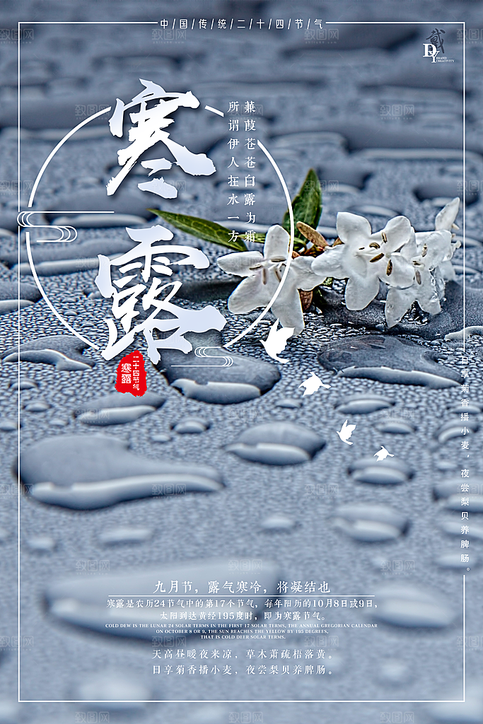 二十四节日传统节日寒露设计