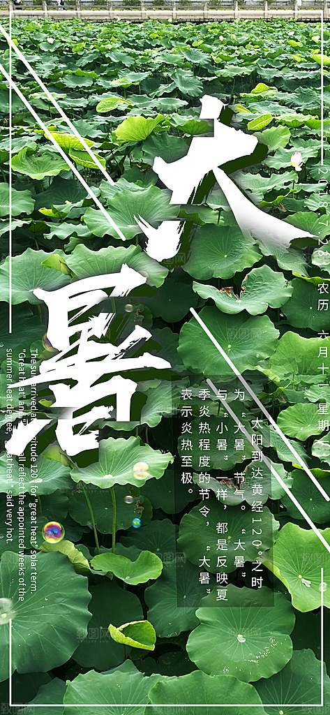 中国传统二十四节气大暑插画海报
