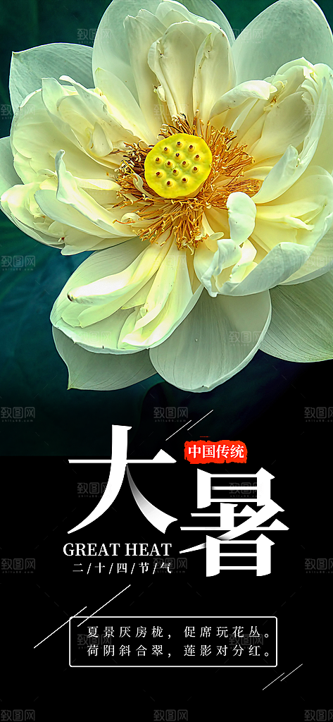 中国传统二十四节气大暑插画海报