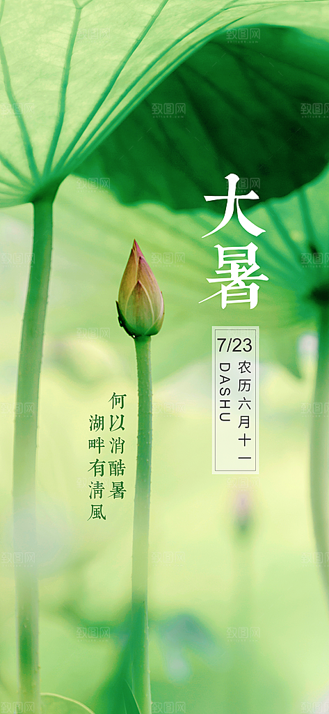 中国传统二十四节气大暑插画海报