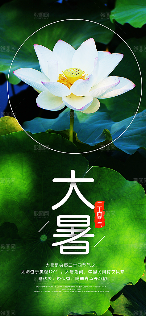 中国传统二十四节气大暑插画海报