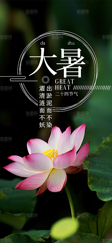 中国传统二十四节气大暑插画海报