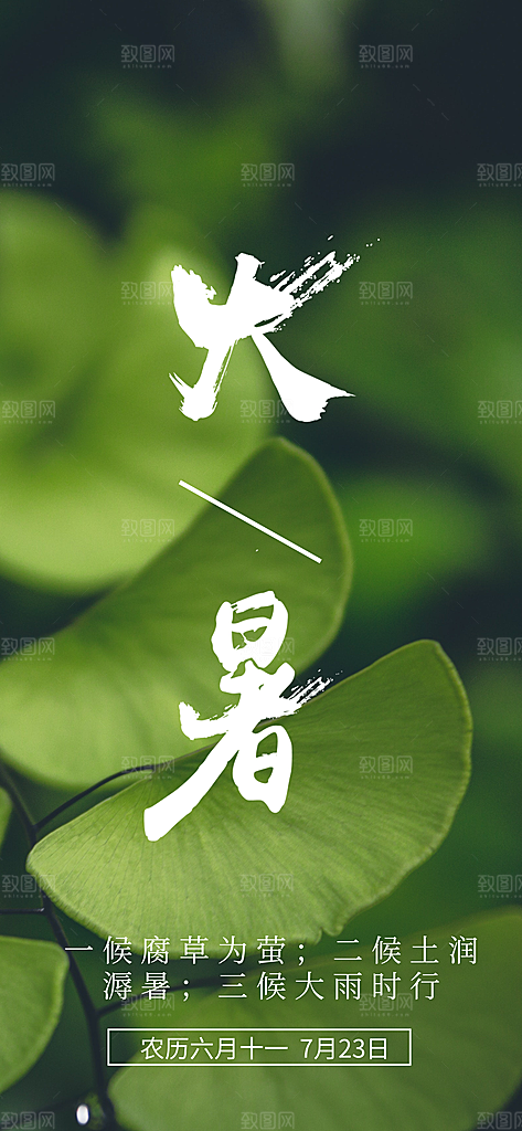 中国传统二十四节气大暑插画海报