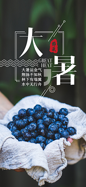 中国传统二十四节气大暑插画海报
