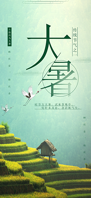 中国传统二十四节气大暑插画海报