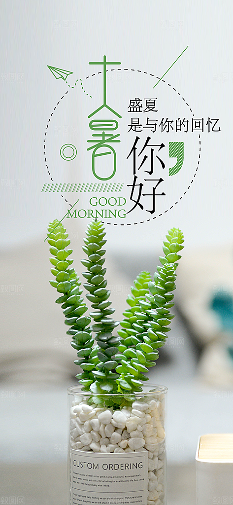 中国传统二十四节气大暑插画海报