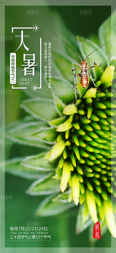 中国传统二十四节气大暑插画海报