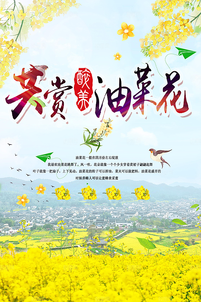 春暖花开共赏油菜花