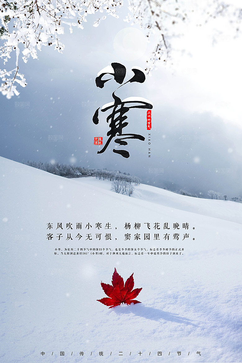 二十四节气宣传海报小寒