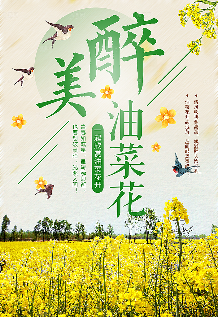 醉美油菜花宣传海报