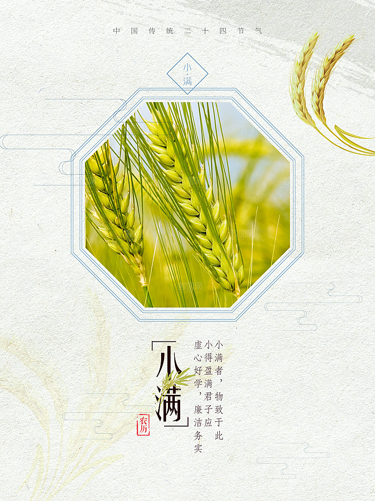绿色小满二十四节气海报