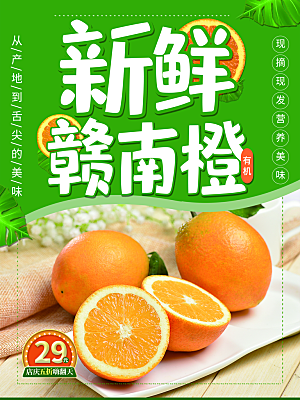 新鲜水果赣南橙海报