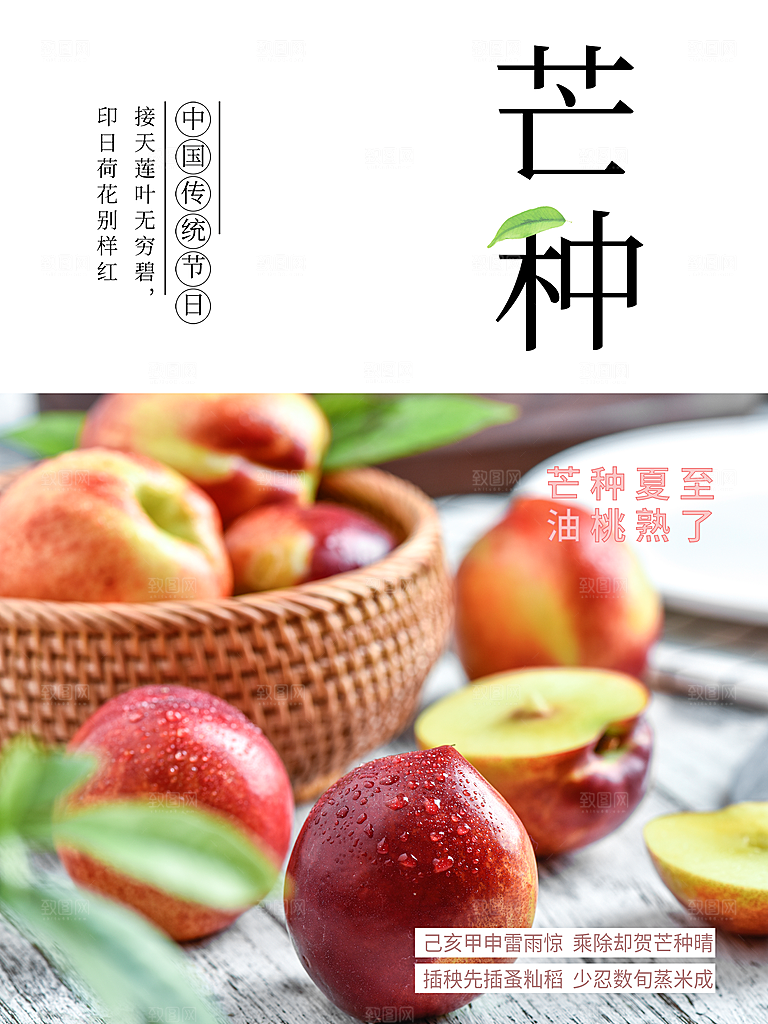 中国传统节日芒种