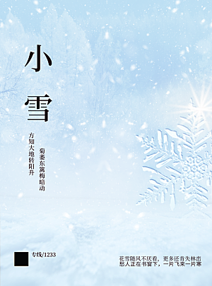 中国二十四节气小雪