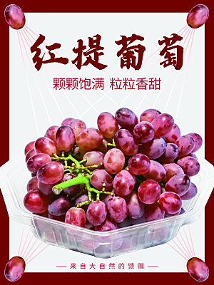 天然营养红提葡萄