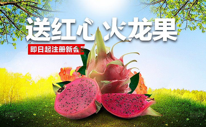 新鲜水果红心火龙果