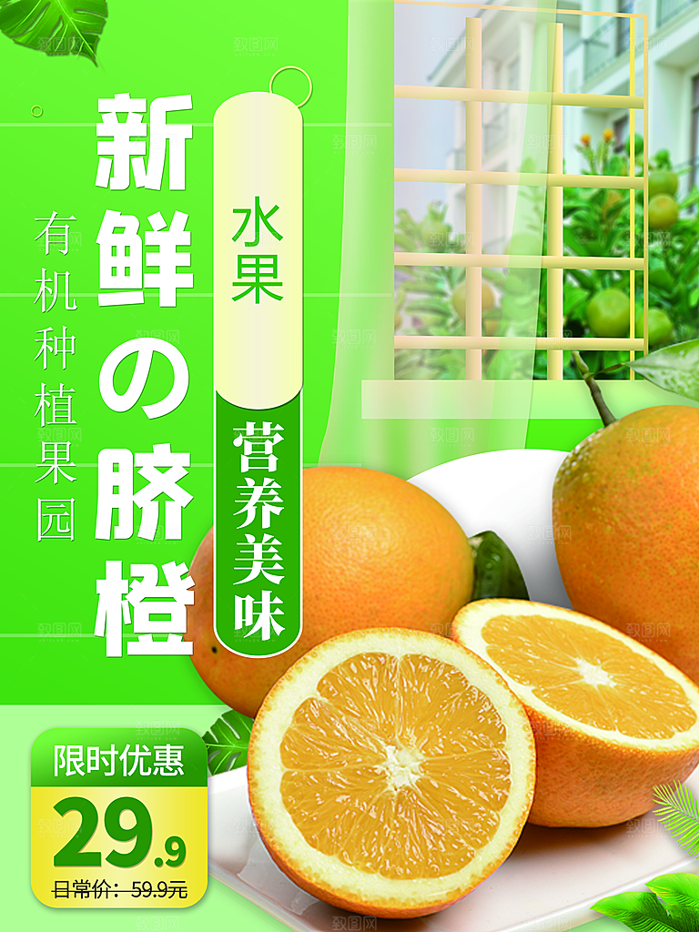 有机水果新鲜脐橙
