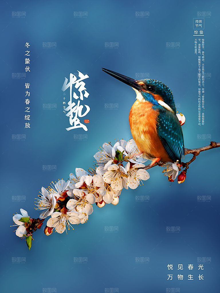 中国二十四节气惊蛰