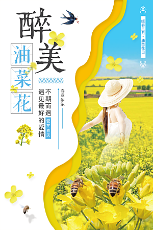 醉美油菜花宣传海报