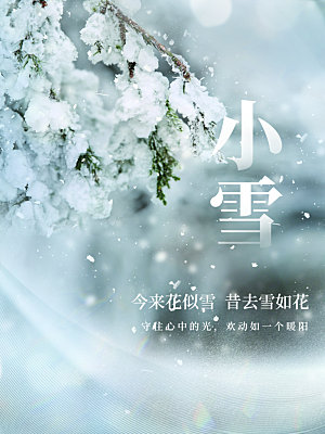 中国二十四节气小雪