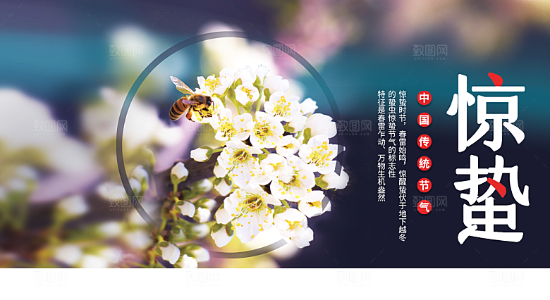中国二十四节气惊蛰