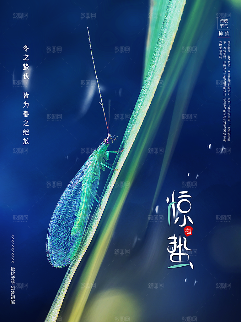 传统二十四节气惊蛰