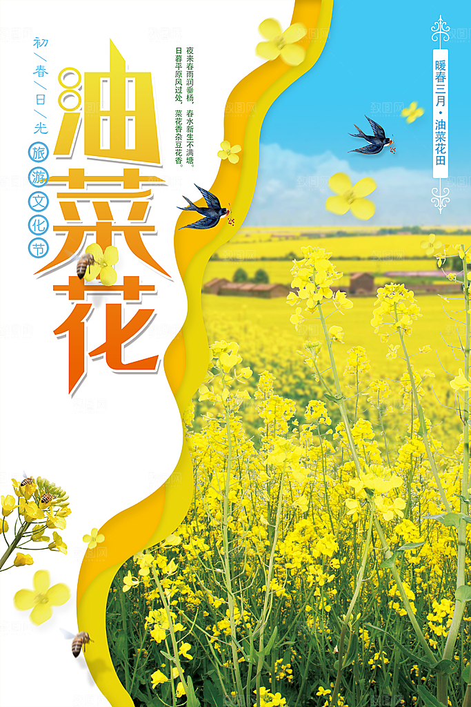 春季油菜花宣传海报
