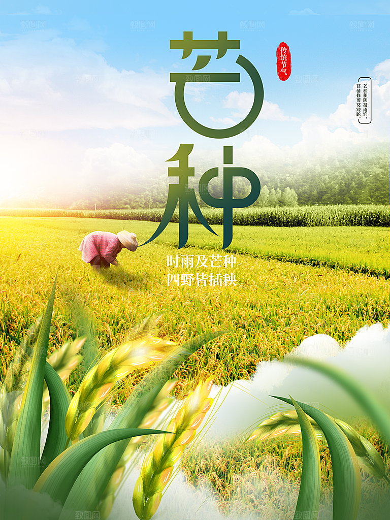 中国二十四节气芒种