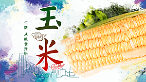 生鲜蔬菜玉米海报