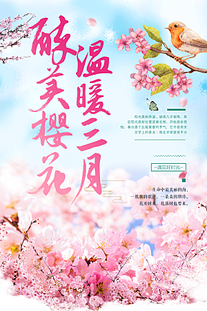 醉美三月樱花节宣传