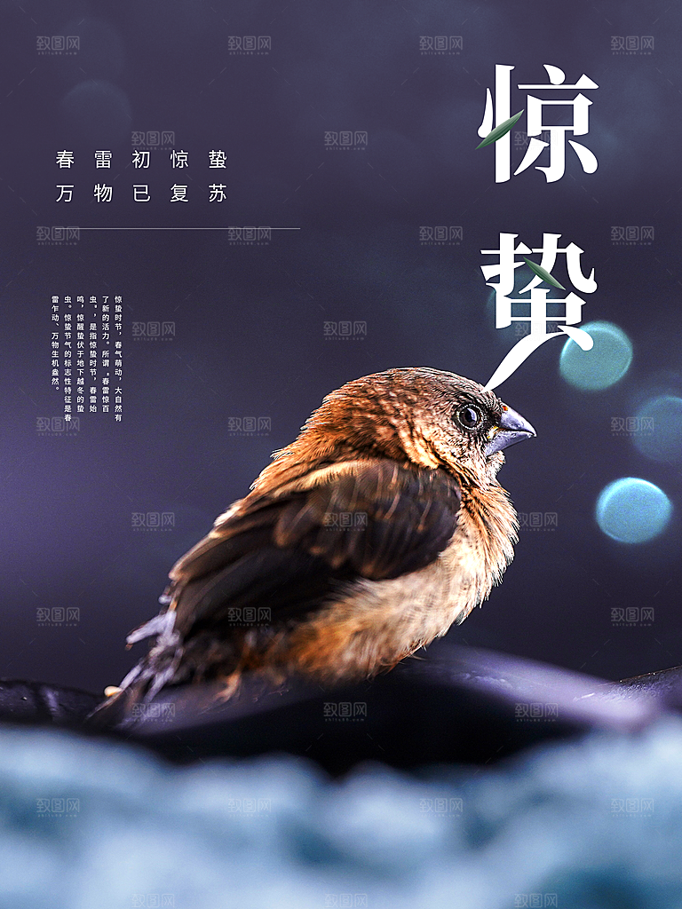 二十四节气惊蛰海报