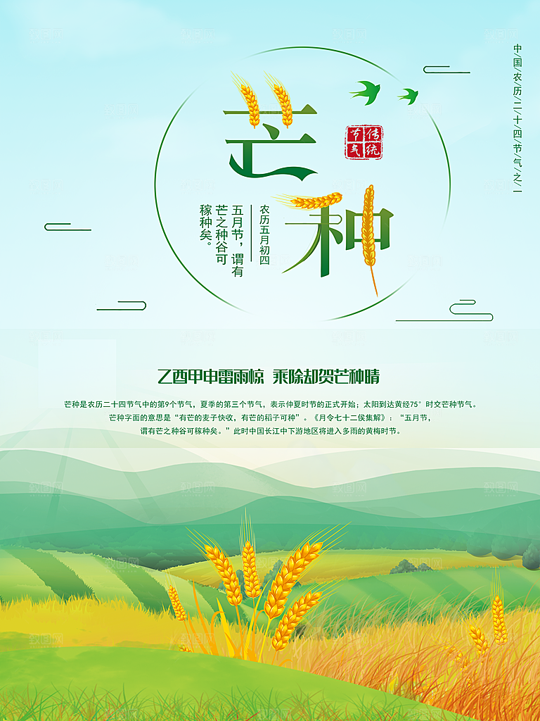 二十四节气芒种海报