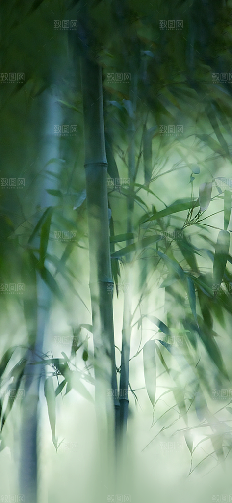 清明节节日海报素材背景