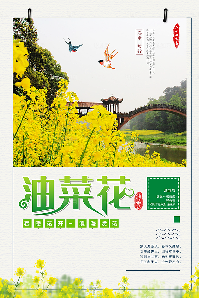 春暖花开油菜花海报