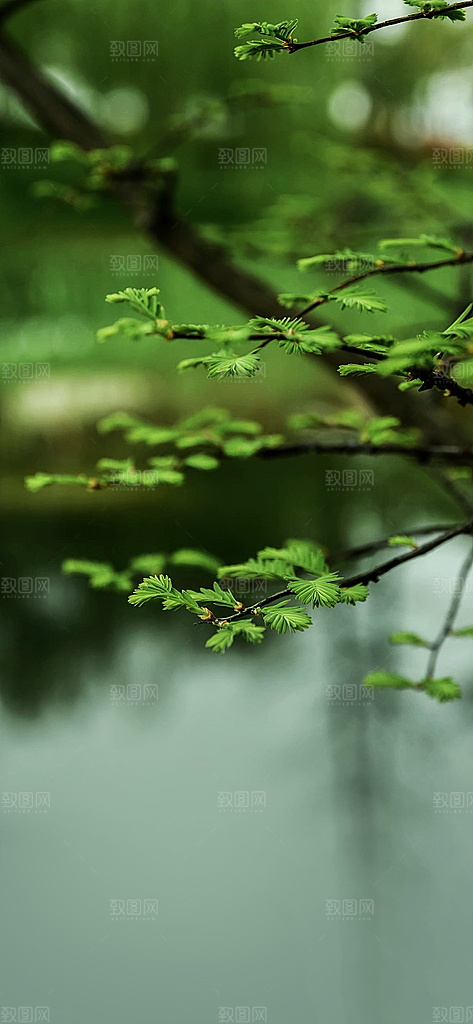 清明节节日海报素材背景