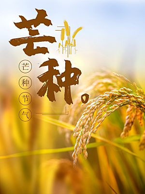 中国二十四节气芒种海报