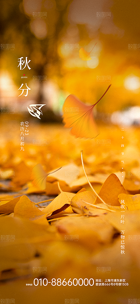秋分节气简约大气海报