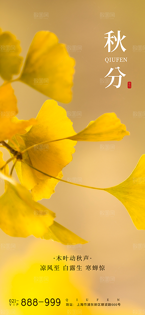 秋分节气简约大气海报