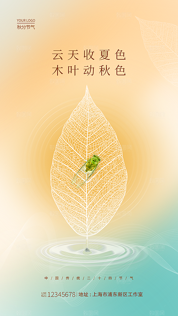 秋分节气简约大气海报