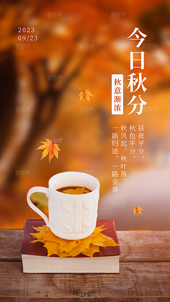 秋分节气简约大气海报