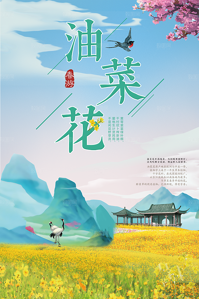 手绘插画油菜花海报