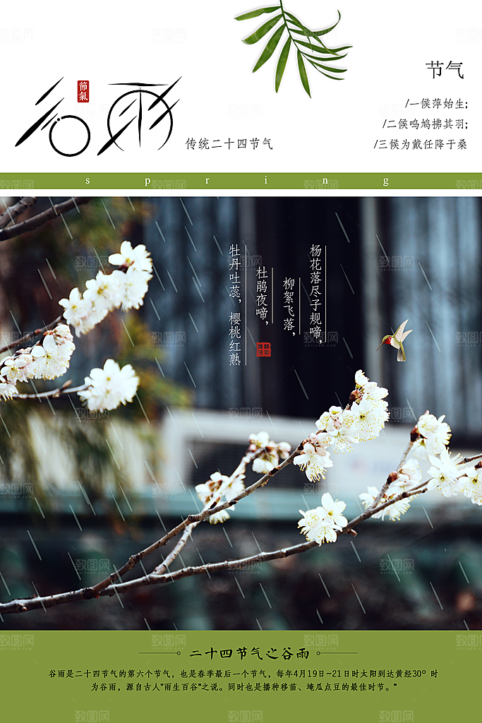手绘二十四节气谷雨宣传海报