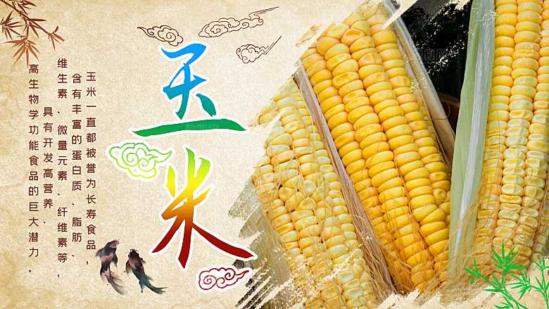 新鲜有机玉米海报