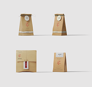 品牌包装创意袋装盒装罐装样机